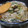 cook Tommy's cooksnap of when they made 生姜たっぷり　豚ごぼうそば　.