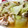 oak407's cooksnap of when they made 白菜と鶏肉の蒸し煮.