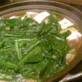 ひろぱんじー's cooksnap of when they made 簡単美味！話題の塩鍋を自家製鶏だんごで。.