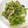 じゅるちゃん's cooksnap of when they made 小松菜とまいたけのごま和え.
