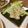 快くん's cooksnap of when they made 筍のガーリーック焼き.