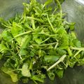 なーなちゃん's cooksnap of when they made 旬のクレソン・シンプルサラダ.