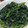 mamidoraq's cooksnap of when they made ほうれん草のゴマ和え.