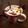 関口純子's cooksnap of when they made ハロウィン 黒猫クッキー.