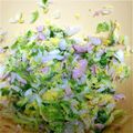 きいちここ's cooksnap of when they made ゆず胡椒で白菜のツナサラダ.