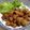 チロチロ320's cooksnap of when they made 簡単♡絶品唐揚げ.