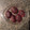 Scoami's cooksnap of when they made 定番のおはぎ♪.