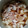 しーちゃんの嫁's cooksnap of when they made 煮汁がじゅわ～！豚肉と大根の煮物.