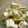 maruru-nn's cooksnap of when they made はんぺんとカニカマのマヨ和え.