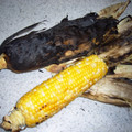 catorina's cooksnap of when they made 激うま！焼きとうもろこし.