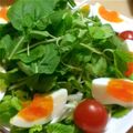 ティナたま's cooksnap of when they made シンプル＊ルッコラのサラダ.