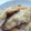 misa†misa's cooksnap of when they made サモサ風☆揚げ＆焼きギョウザ.