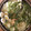 まぁーたんママ's cooksnap of when they made 寒い日は簡単あったか!みぞれ鍋☆.