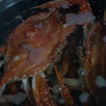 プゥたﾝCHU's cooksnap of when they made 渡り蟹がやってきたっ！.