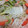 おこめとぎとぎ's cooksnap of when they made 簡単★白菜とツナともやしの炒め物★.