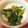 ☆hanamaru's cooksnap of when they made 超簡単！小松菜となめ茸の和え物.