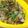 みのさとう's cooksnap of when they made 納豆と3種のキノコの健康和え.