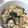 まめめ☆ﾐ's cooksnap of when they made 失敗しない♪舞茸♪炊き込みご飯♪.