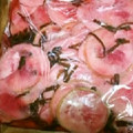 hime犬's cooksnap of when they made おいしい！簡単！かぶの千枚漬け.