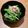 うなし～'s cooksnap of when they made 材料3つ小松菜と平茸とベーコンの炒め物.