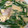 kimimaruo's cooksnap of when they made つゆだくで！洋風ニラの卵とじ.