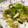 ぴおぴあ's cooksnap of when they made レタスと小イカの中華風炒め.