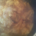 ☆しいたんママ☆'s cooksnap of when they made 鶏もも肉と白菜のとろ～り煮.