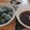 菜芽戸's cooksnap of when they made 豆腐と米粉のみたらし団子.