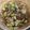 クックL89AK4☆'s cooksnap of when they made 豚バラとズッキーニの簡単★マヨ醤油炒め.