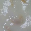 ももクマチャチャ's cooksnap of when they made ドライマンゴーで美味マンゴーヨーグルト★.