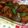 のりしょぼびっち's cooksnap of when they made 鶏肉とこんにゃくの味噌照り焼き.
