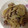 すずかぼちゃ's cooksnap of when they made 簡単！汚れ知らず☆豚の生姜焼き.