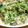 ティナたま's cooksnap of when they made ➏　小松菜の白和え　➏.