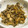 sakuni's cooksnap of when they made ひらたけしめじと生姜炒め.