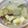 JILLの赤メガネ's cooksnap of when they made さつまいもと白菜のシチュー.