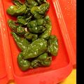 しゅうゆうけいはる母's cooksnap of when they made ぱくぱく!!蒸しぴーまん.