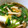 あにゃほし's cooksnap of when they made ほうれん草とえのきの豆腐あんかけ.