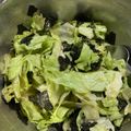 クック甘党。's cooksnap of when they made レタスと海苔のやみつきサラダ.