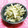 シャンプーハット's cooksnap of when they made 大根の皮のわかめ和え.