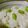 Likakovsky's cooksnap of when they made 塩麹で＊枝豆ごはん＊.