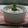 nao-mi's cooksnap of when they made 蕎麦の実ぷちぷちブランマンジェ.