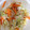 ぺたこゆかりん's cooksnap of when they made 白菜ともやしのあっさり甘酢漬け.