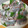 miyamiya77's cooksnap of when they made 簡単　さんまの刺身　捌き方.