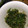 やまなしのなゆひ's cooksnap of when they made お子さんいる方必見！ほうれん草の胡麻和え.