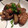 Walnut1107's cooksnap of when they made さば缶と茄子の味噌炒め.