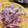 こじあゆ's cooksnap of when they made 簡単☆大根のゆかりあえ✿.