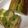えいる4's cooksnap of when they made 抹茶と栗のパウンド.