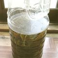 ななこ２２'s cooksnap of when they made あると便利！昆布水.