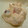 rockhills's cooksnap of when they made さつまいもの白あえ★ＦＰで簡単♪.
