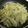 ◎よしを◎'s cooksnap of when they made 簡単健康！ごぼうと大根の味噌バター.
